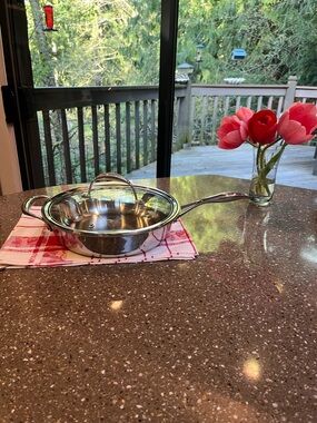 Princess House Stainless Steel Fry Pan with Glass Lid - Silver